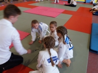 IV tura Śląskiej Ligi Judo (2019) Koszęcin