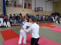 IV tura Śląskiej Ligi Judo (2019) Koszęcin