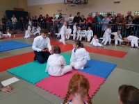 IV tura Śląskiej Ligi Judo (2019) Koszęcin