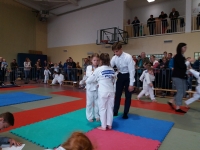 IV tura Śląskiej Ligi Judo (2019) Koszęcin