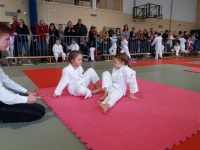 IV tura Śląskiej Ligi Judo (2019) Koszęcin