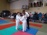 IV tura Śląskiej Ligi Judo (2019) Koszęcin