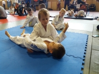 IV tura Śląskiej Ligi Judo (2019) Koszęcin