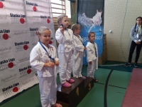 IV tura Śląskiej Ligi Judo (2019) Koszęcin