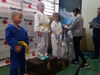 IV tura Śląskiej Ligi Judo (2019) Koszęcin