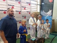 IV tura Śląskiej Ligi Judo (2019) Koszęcin