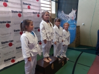 IV tura Śląskiej Ligi Judo (2019) Koszęcin