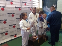 IV tura Śląskiej Ligi Judo (2019) Koszęcin