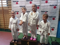 IV tura Śląskiej Ligi Judo (2019) Koszęcin