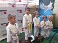IV tura Śląskiej Ligi Judo (2019) Koszęcin
