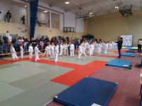 IV tura Śląskiej Ligi Judo (2019) Koszęcin