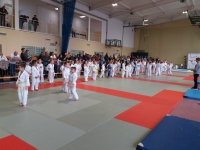 IV tura Śląskiej Ligi Judo (2019) Koszęcin
