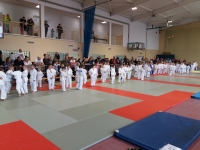 IV tura Śląskiej Ligi Judo (2019) Koszęcin