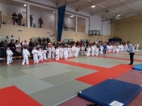 IV tura Śląskiej Ligi Judo (2019) Koszęcin