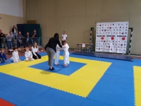 IV tura Śląskiej Ligi Judo (2019) Koszęcin