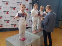 VI tura Śląskiej Ligi Judo (2019) Tarnowskie Góry