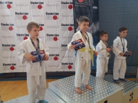 VI tura Śląskiej Ligi Judo (2019) Tarnowskie Góry