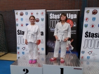 I tura Śląskiej Ligi Judo (2021) Ożarowice