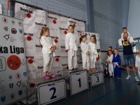 III tura Śląskiej Ligi Judo (2021) Radzionków