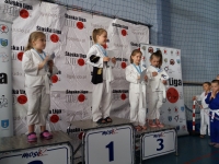 III tura Śląskiej Ligi Judo (2021) Radzionków