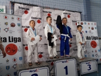 III tura Śląskiej Ligi Judo (2021) Radzionków
