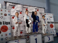 III tura Śląskiej Ligi Judo (2021) Radzionków
