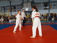 III tura Śląskiej Ligi Judo (2021) Radzionków