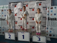 III tura Śląskiej Ligi Judo (2021) Radzionków