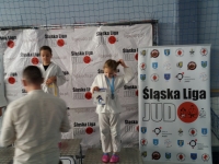 III tura Śląskiej Ligi Judo (2021) Radzionków