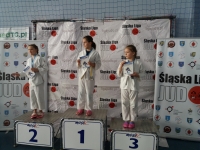 III tura Śląskiej Ligi Judo (2021) Radzionków