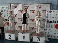 III tura Śląskiej Ligi Judo (2021) Radzionków