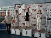 III tura Śląskiej Ligi Judo (2021) Radzionków
