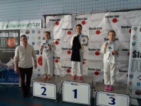 III tura Śląskiej Ligi Judo (2021) Radzionków
