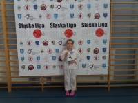 III tura Śląskiej Ligi Judo (2021) Radzionków