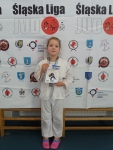 III tura Śląskiej Ligi Judo (2021) Radzionków