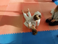 V tura Śląskiej Ligi Judo (2021) Bytom