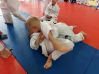 V tura Śląskiej Ligi Judo (2021) Bytom