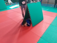 I tura Śląskiej Ligi Judo (2022) Ożarowice