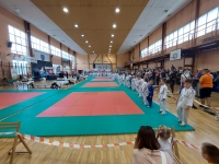II tura Śląskiej Ligi Judo (2022) Piekary Śląskie