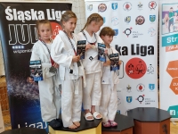 II tura Śląskiej Ligi Judo (2022) Piekary Śląskie