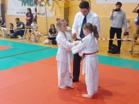 II tura Śląskiej Ligi Judo (2022) Piekary Śląskie