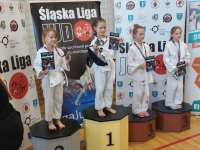 II tura Śląskiej Ligi Judo (2022) Piekary Śląskie