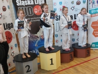 II tura Śląskiej Ligi Judo (2022) Piekary Śląskie