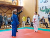 II tura Śląskiej Ligi Judo (2022) Piekary Śląskie