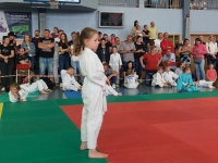 III tura Śląskiej Ligi Judo (2022) Radzionków