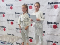 III tura Śląskiej Ligi Judo (2022) Radzionków