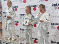 III tura Śląskiej Ligi Judo (2022) Radzionków
