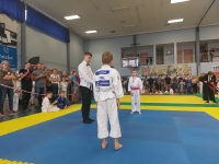 III tura Śląskiej Ligi Judo (2022) Radzionków