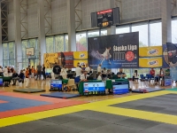 IV tura Śląskiej Ligi Judo (2022) Bytom