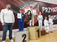 IV tura Śląskiej Ligi Judo (2022) Bytom